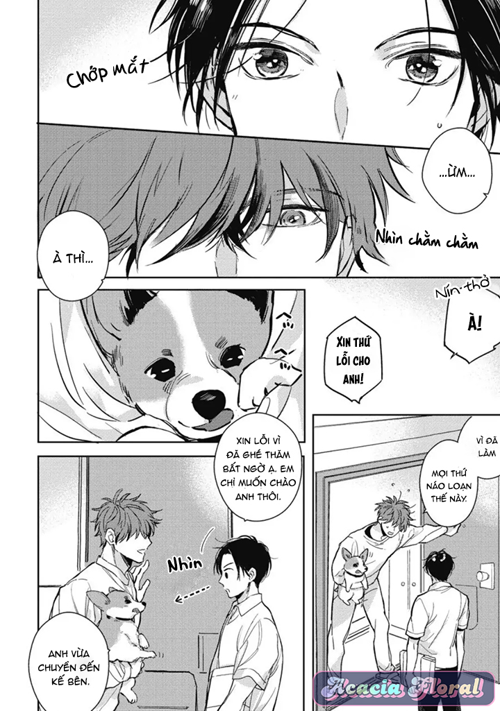 hàng xóm nhà bên chapter 1 6