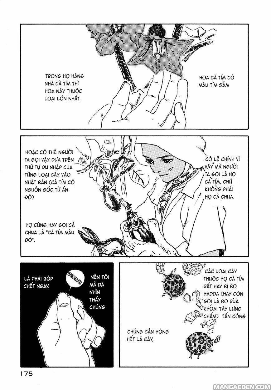 little forest chapter 33.5 5