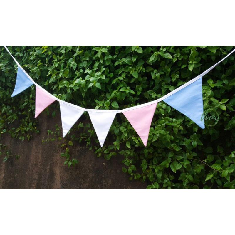 Dây cờ tam giác nhiều màu cầu vồng, trang trí decor, dây cờ Transgender chuyển giới LGBTQ+ Flag