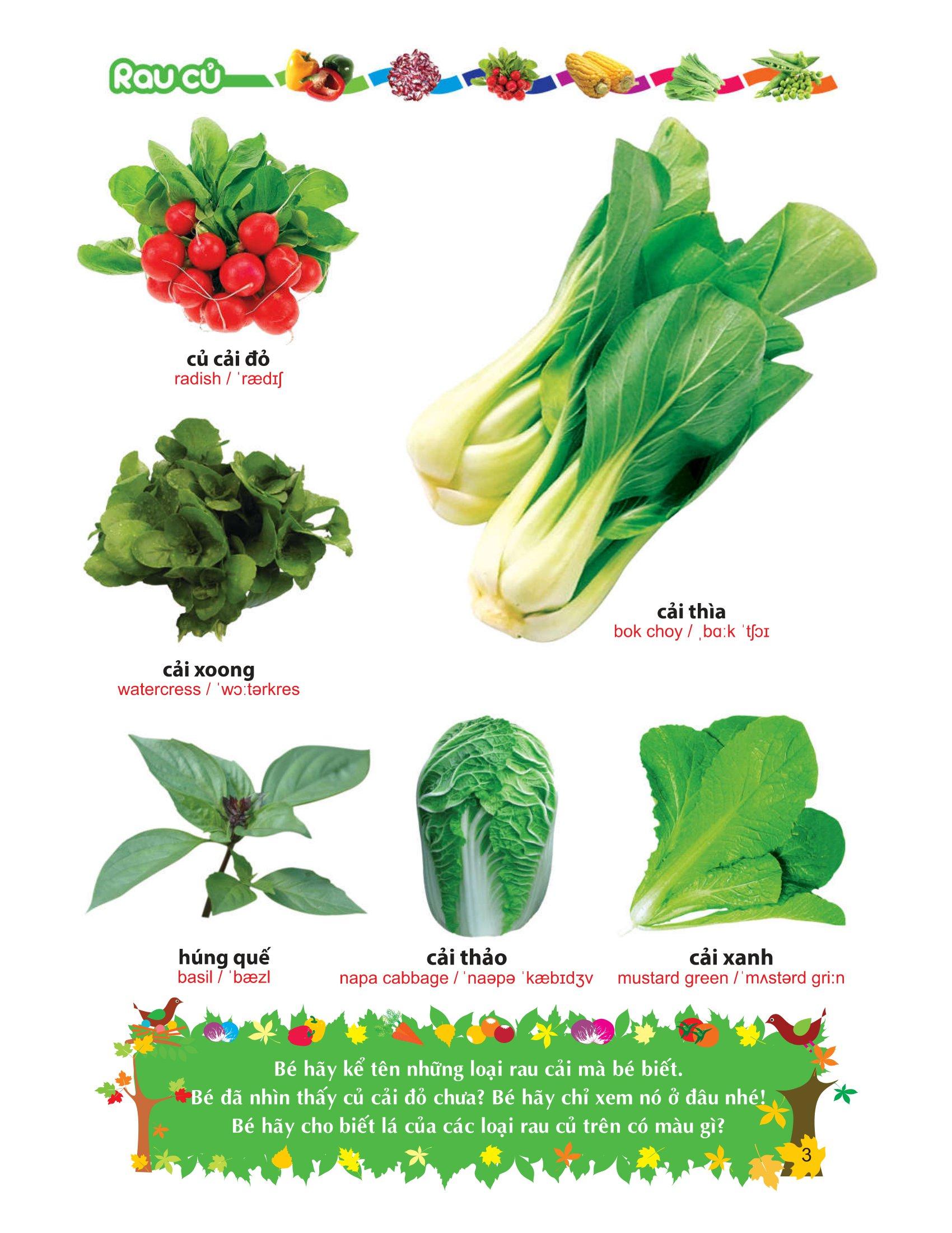 Từ Điển Tranh Về Rau - Củ - Quả - Hoa (Tái Bản 2012)