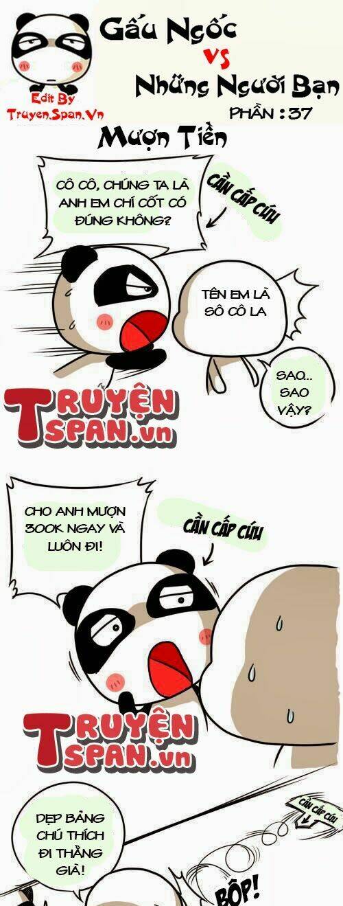 gấu ngốc và những người bạn chapter 8 1