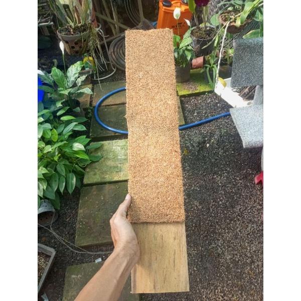 Trụ sơ dừa dạng bảng gỗ siêu bền, thích hợp dây leo