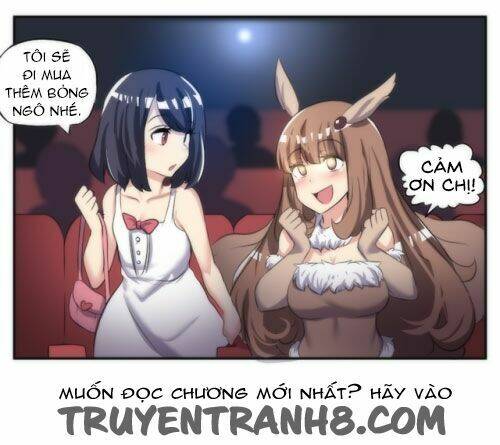 internet explorer chapter 23.5 20