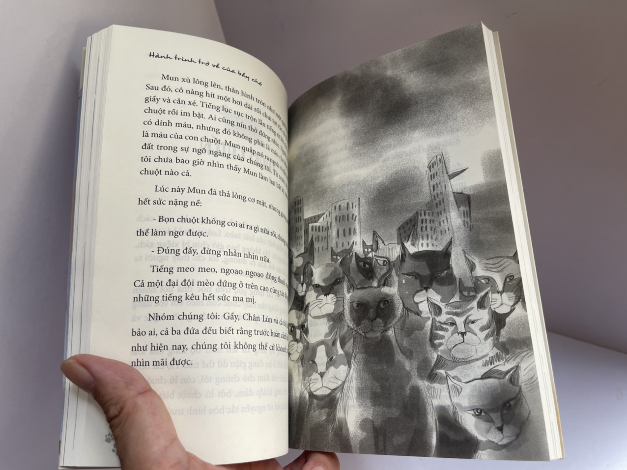 HÀNH TRÌNH TRỞ VỀ CỦA BẦY CHÓ – Bùi Mai Linh – Minh hoạ Kim Duẩn - Thái Hà Books