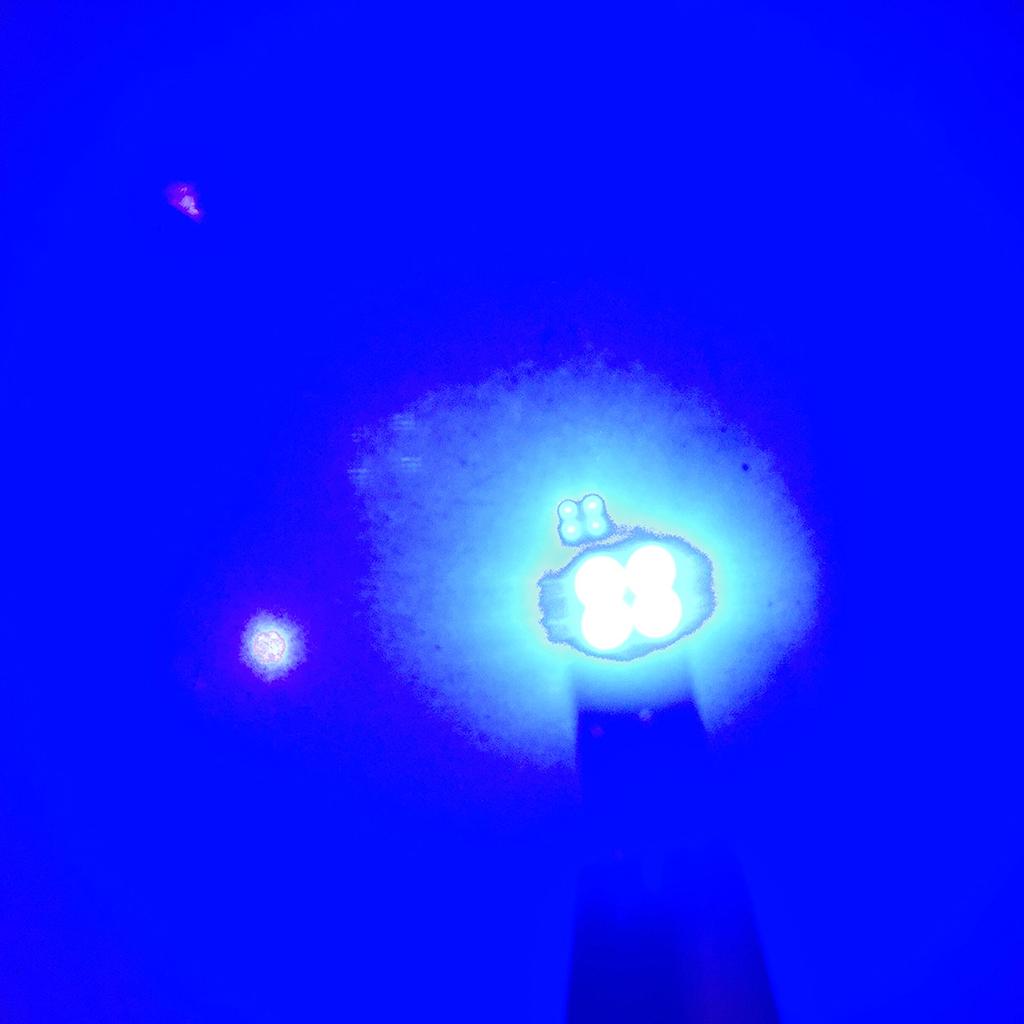 2 Pieces T10 8 LED Car Clearance  Interior  Bulbs