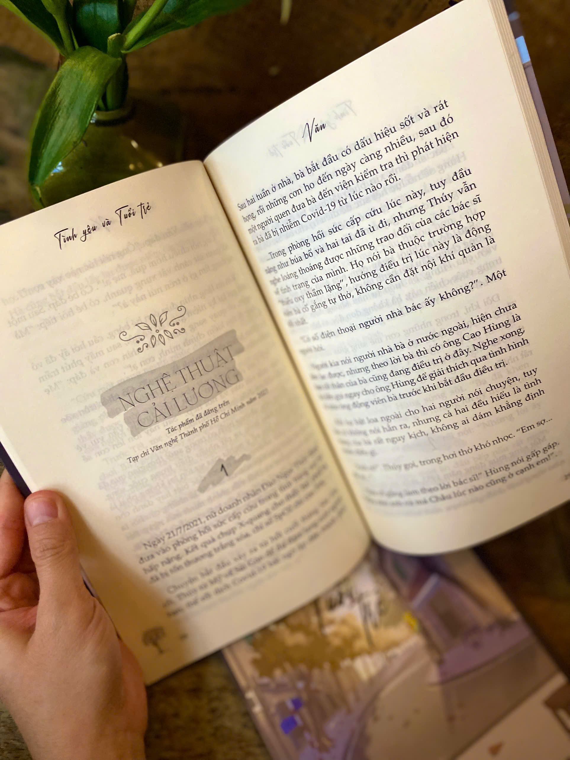 Sách - Tình Yêu và Tuổi Trẻ - Thanh Xuân Không Phải Để Hối Tiếc - Tri Thức Trẻ Books - Tác giả Văn