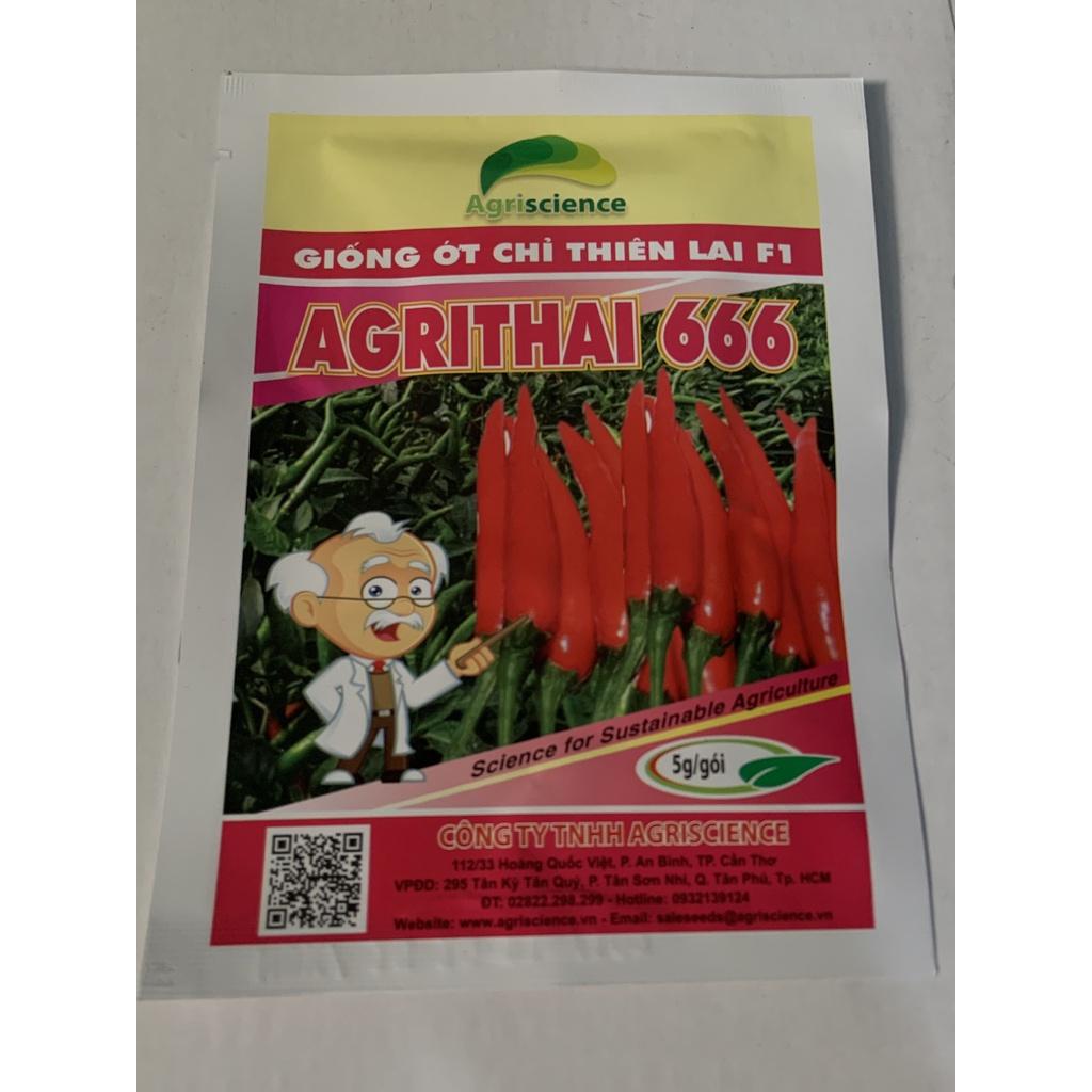 Hạt Giống Ớt Chỉ Thiên Lai F1 - AGRI THAI 666