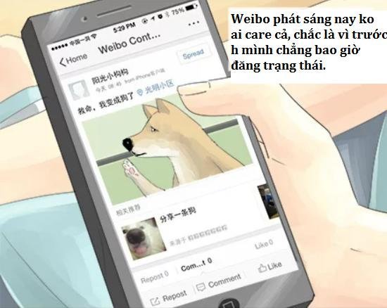 một con chó chapter 7 3