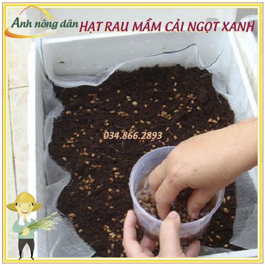 Set 3 Gói 50g Hạt rau mầm rau cải ngọt Xanh - Hạt rau mầm giá rẻ, nảy mầm đồng đều