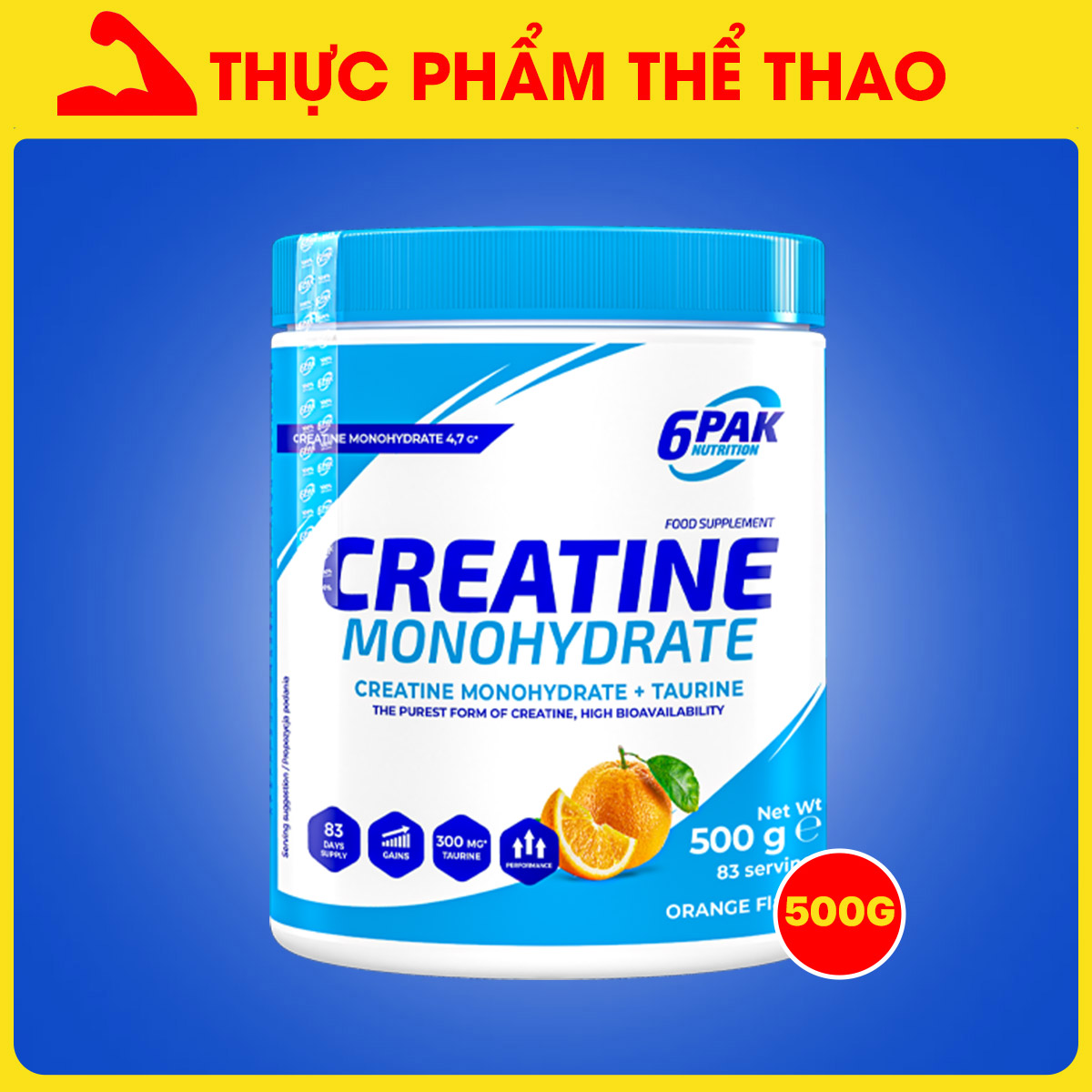 6PAK CREATINE MONOHYDRATE - Hộp 500 grams - Tăng sức mạnh và Kích thích cơ bắp - Nhiều Hương Vị - Thương Hiệu Trec Nutrition