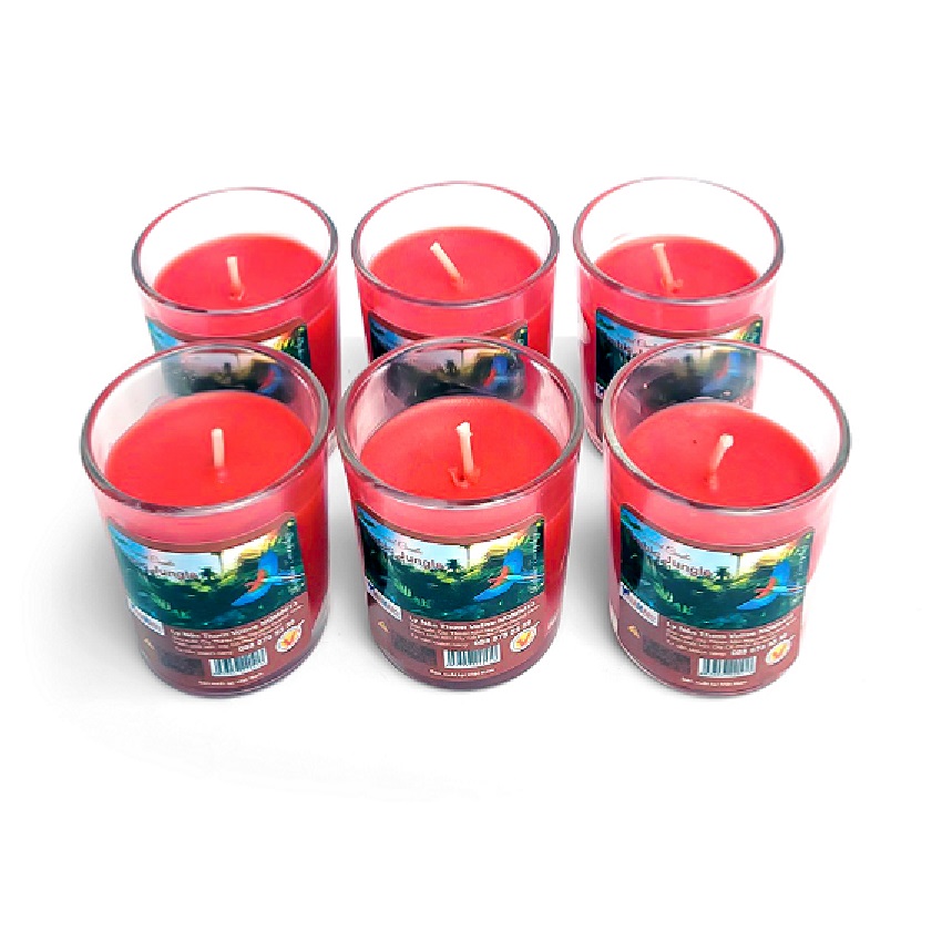 Hộp 6 ly nến thơm votive Miss Candle FTRAMART NQM0413 Tropic Jungle (Hương trái cây)