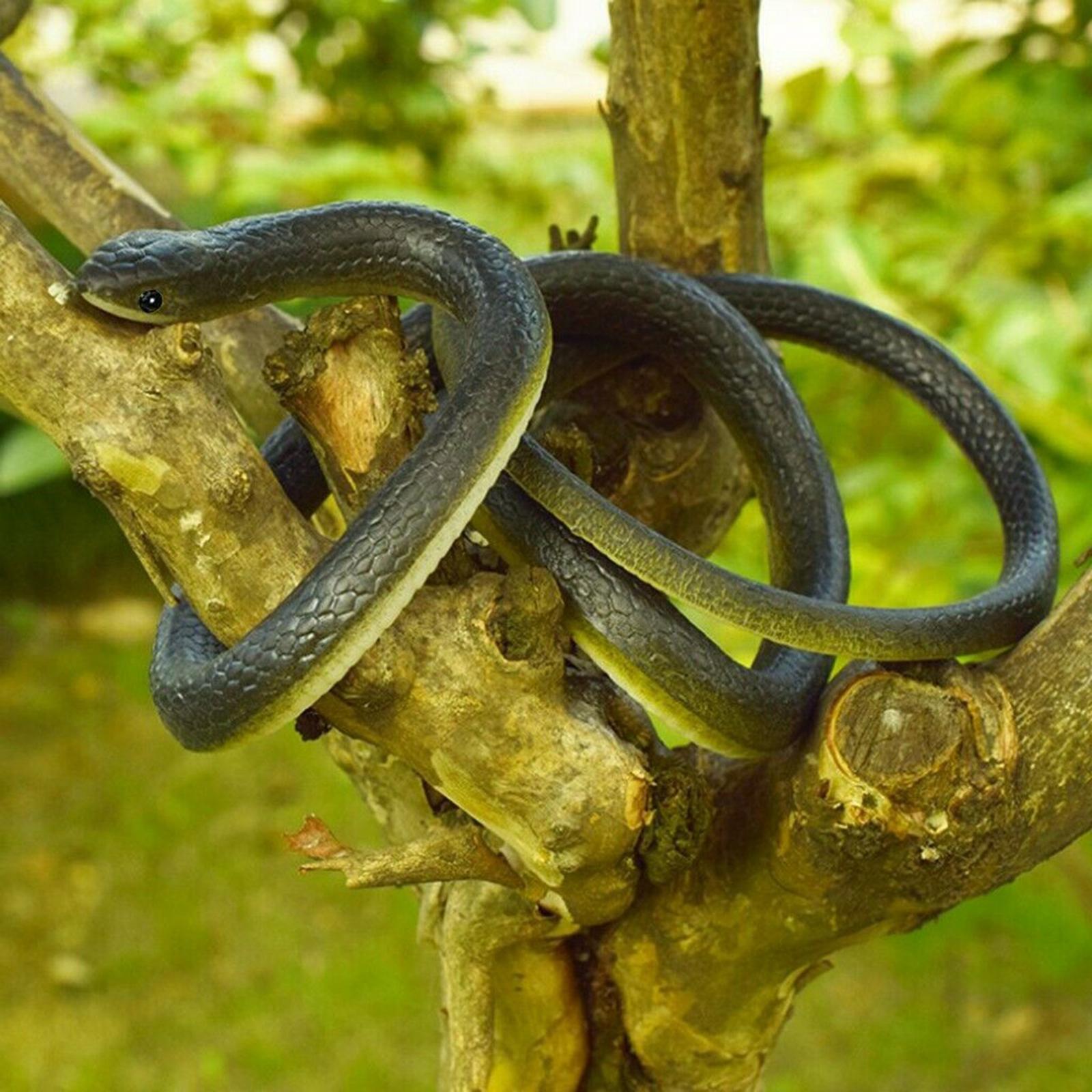 120cm Realistic Fake Simulation Rubber Snake Toys Garden Props 2Pcs