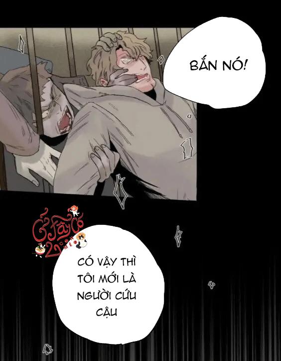 ánh nhìn của quạ chapter 6 36