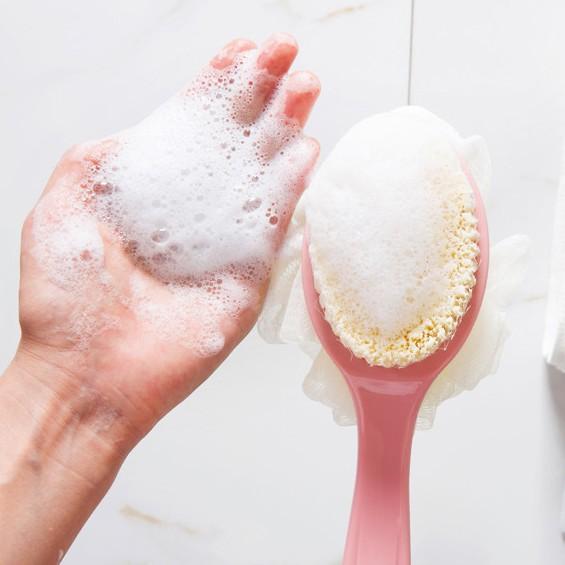 Cây Cọ Lưng Tắm 2 Đầu