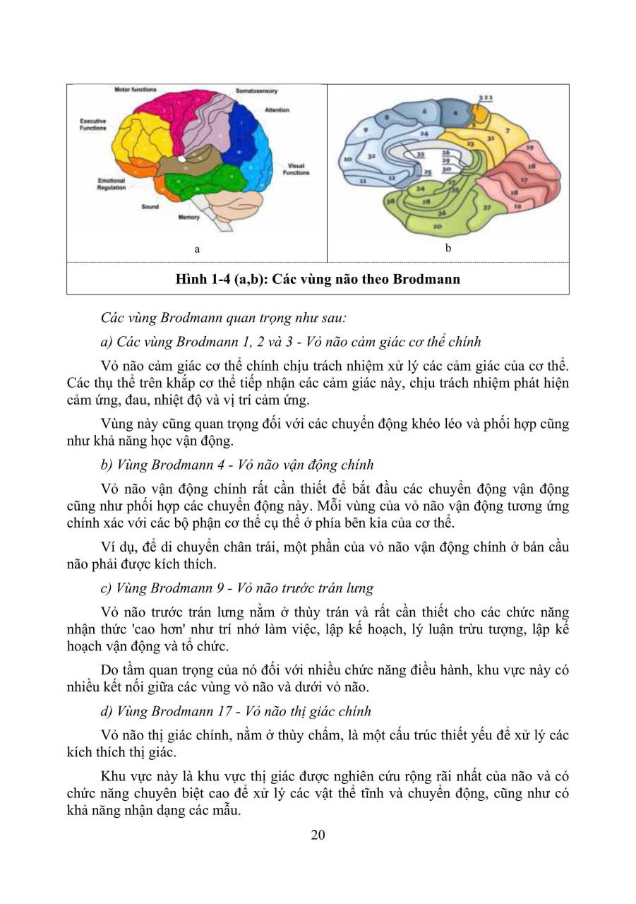 Sách - PHỤC HỒI CHỨC NĂNG CHẤN THƯƠNG NÃO