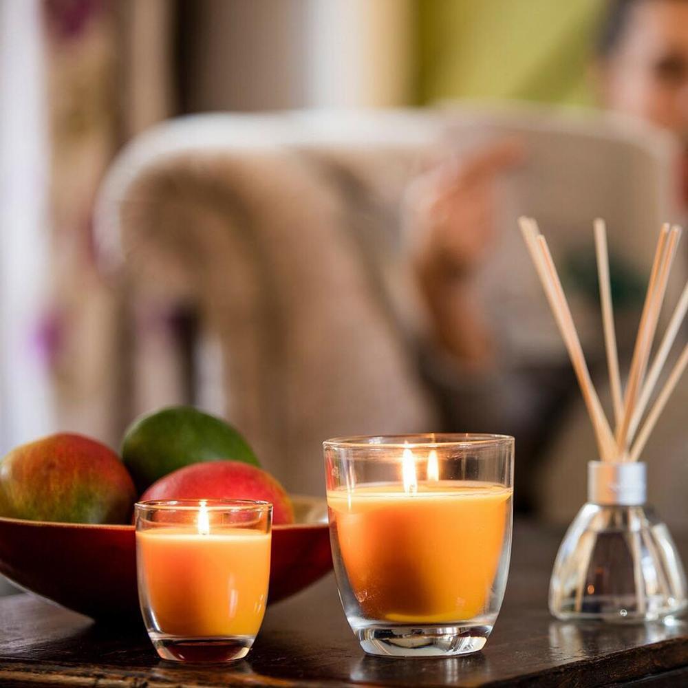 Combo 2 ly nến thơm tinh dầu Bolsius Wild Cranberry 105g - nam việt quất, nến trang trí, thơm phòng, thư giãn, Hỗ trợ khử mùi