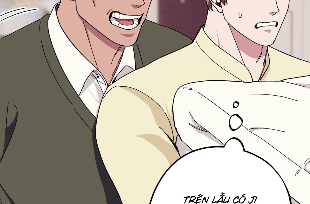 chàng dâu nhà họ kang chapter 42 54