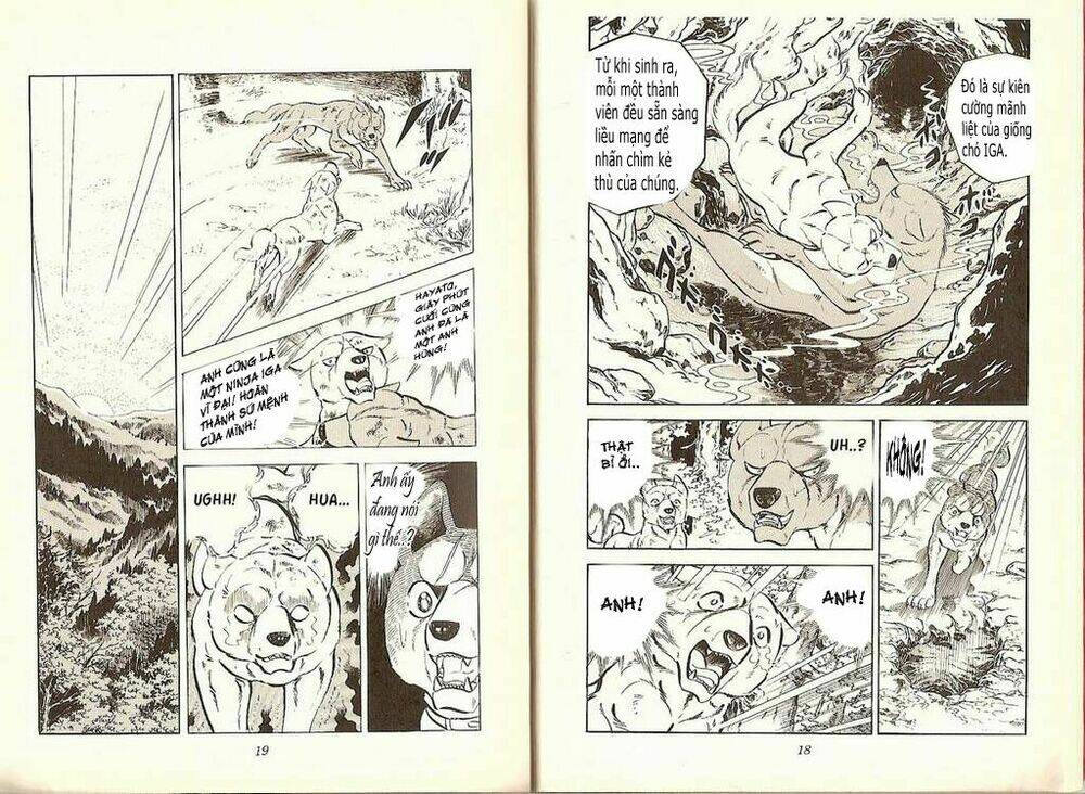 chú chó có nghĩa - ginga nagareboshi gin chapter 19 8