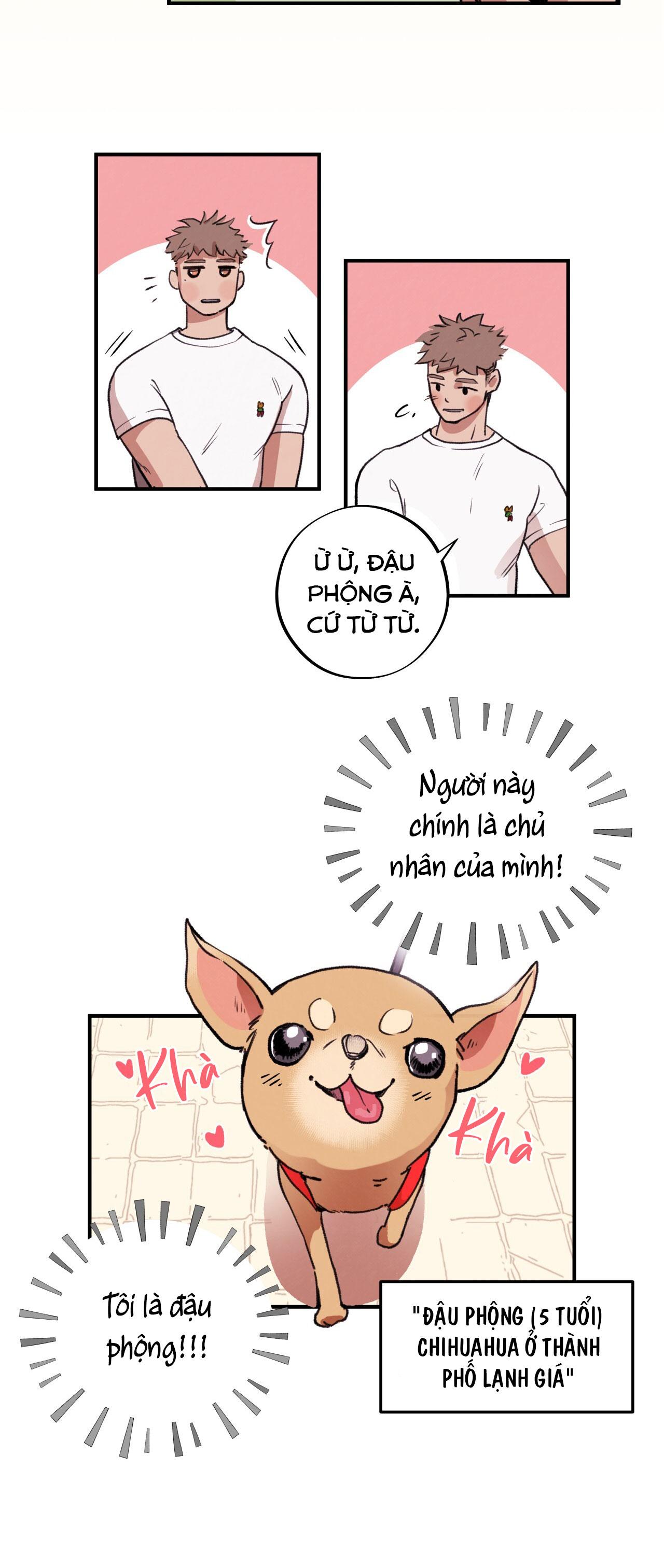 mật gấu chapter 1 3