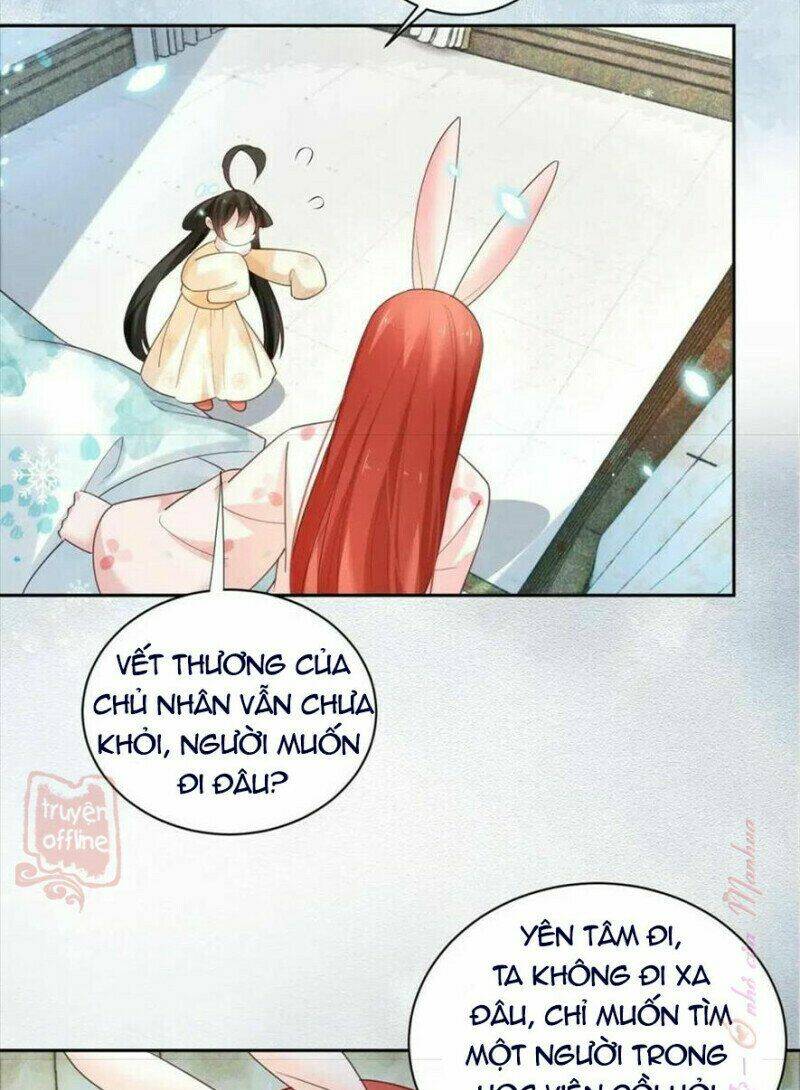 hắc hóa nam chính trực tuyến nuôi thỏ chapter 55 14