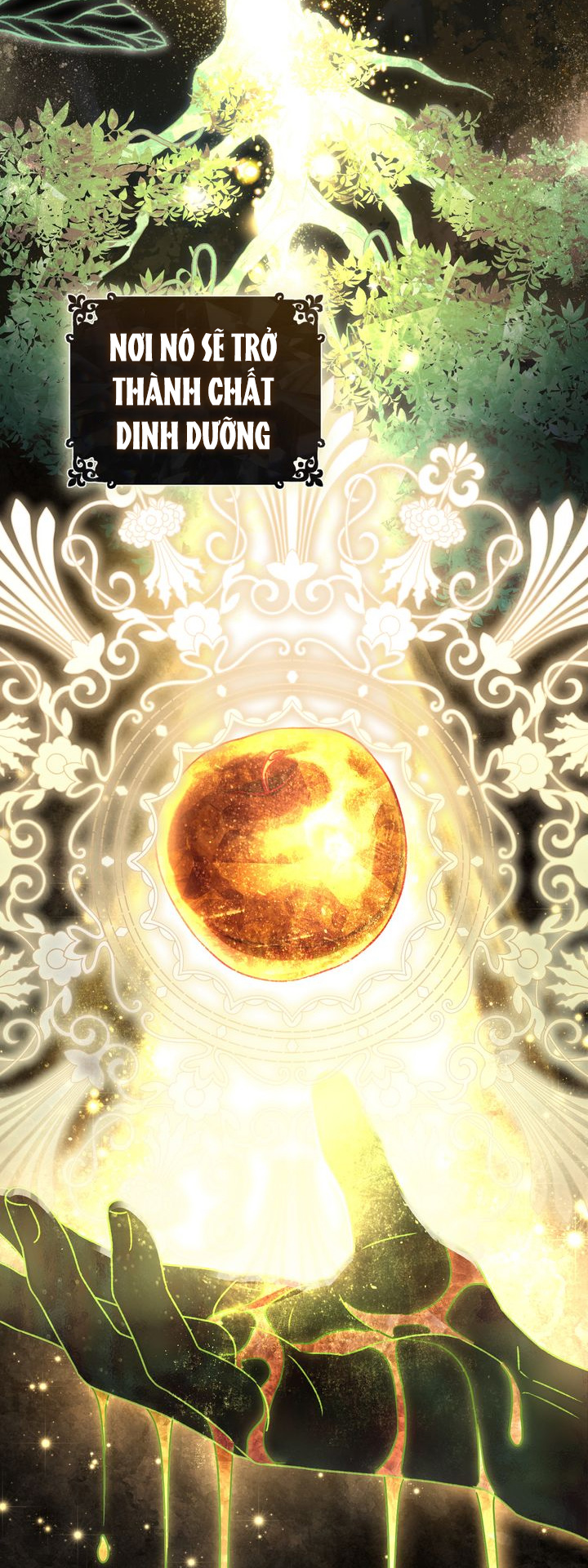 công chúa muôn loài chapter 72 8