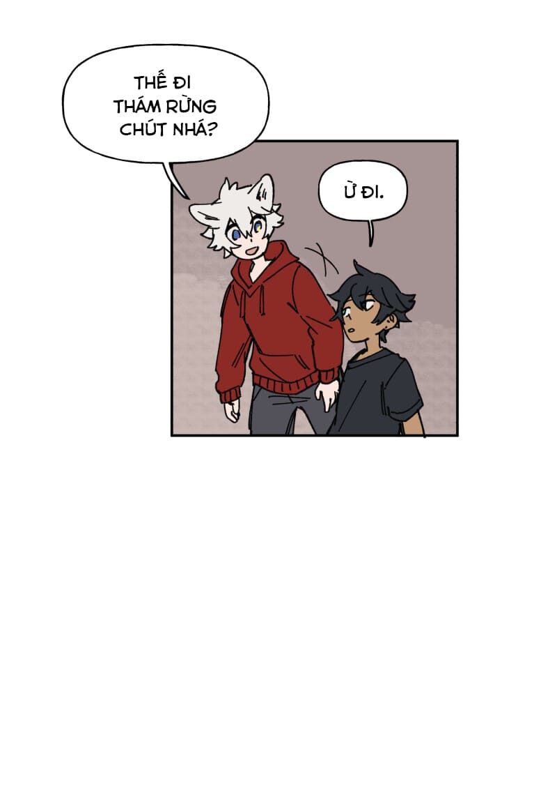 lumine - cội nguồn ánh sáng chapter 126 17