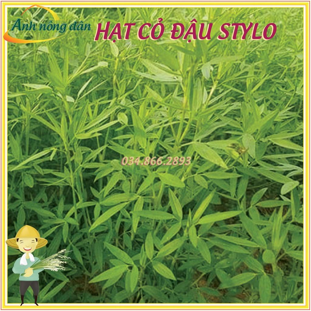 Gói 1kg Hạt giống cỏ đậu stylo giàu dinh dưỡng dùng cho chăn nuôi - Anh nông dân chính hiệu