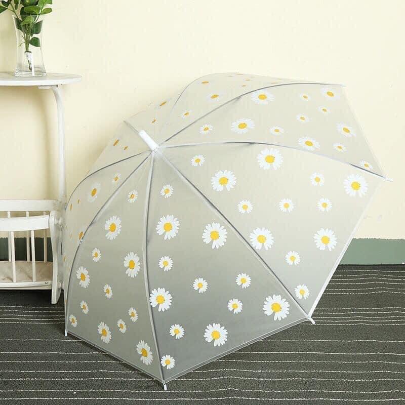 Ô cầm tay hoa cúc họa mi trong suốt chống tia UV, ô che mưa chụp ảnh phong cách Hàn Quốc