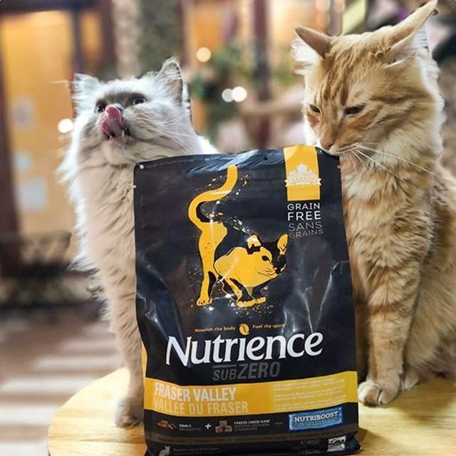Thức Ăn Hạt Cho Mèo - Nutrience Subzero Bao 5kg - Thức Ăn Cho Mèo, Gồm Có 4 Loại Thịt Cá, Rau Củ Quả, Trái Cây