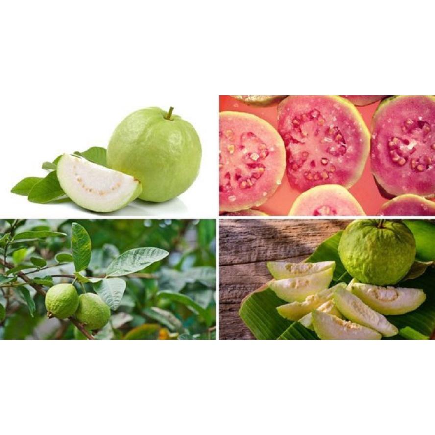PHÂN BÓN KALI SIÊU NGỌT 1kg