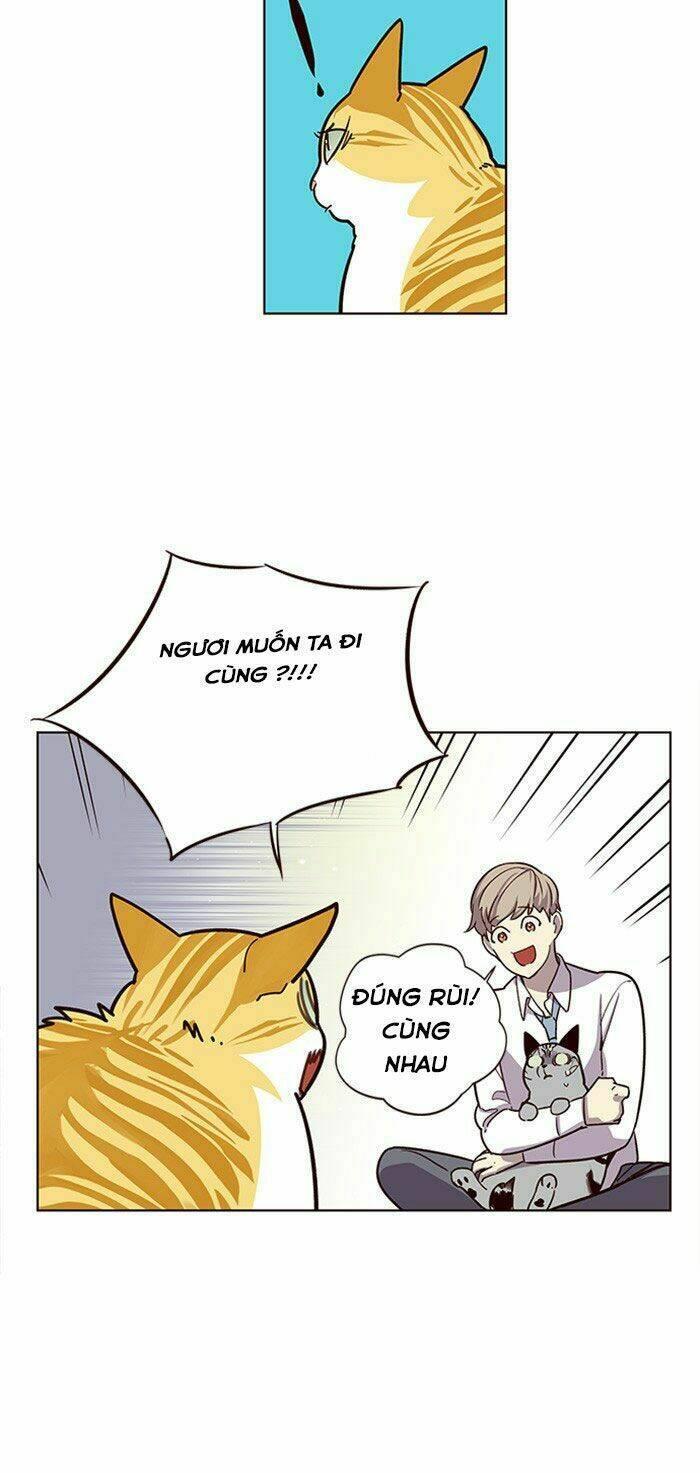 biến thân thành mèo chapter 10 29