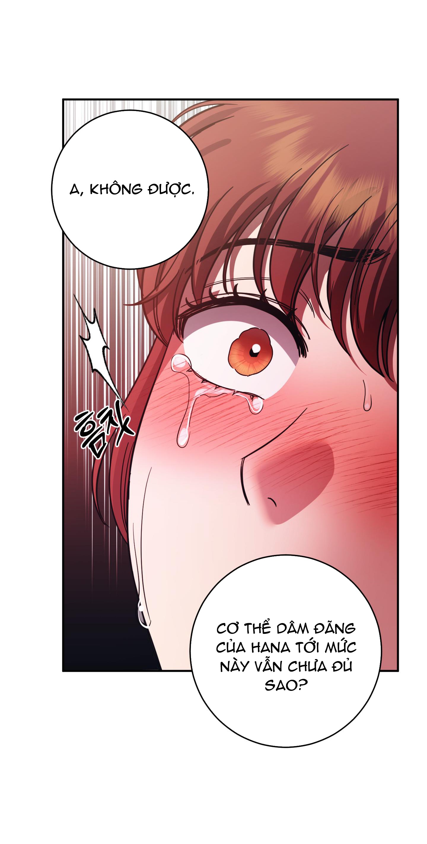 [18+] một lòng một dạ chapter 91.1 13