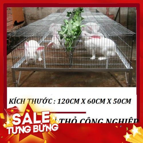Lồng nuôi thỏ công nghiệp - Lồng nuôi thỏ sinh sản 2 ô