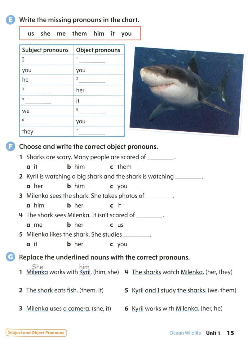 Oxford Discover 2nd Edition: Level 2: Grammar Book