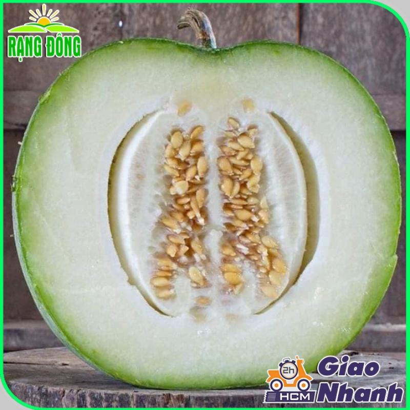 Hạt giống Bí Đao Trái Tròn - Hạt giống Rạng Đông