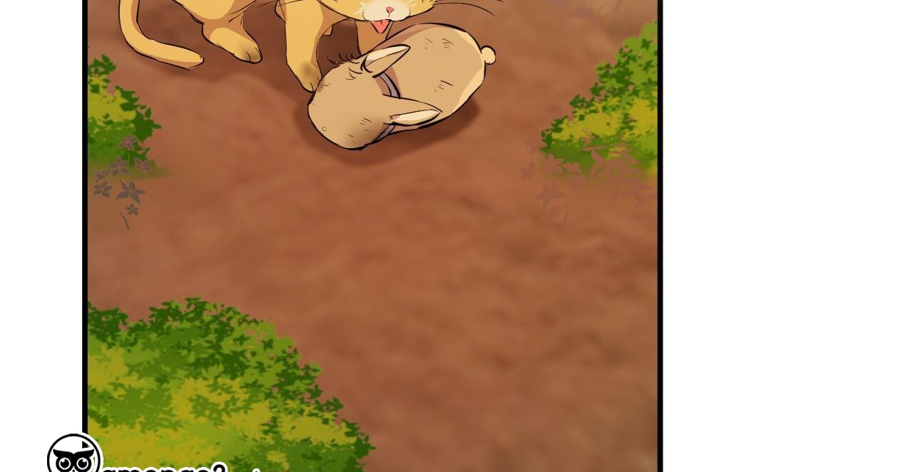 những chú thỏ của hapypy chapter 49 281