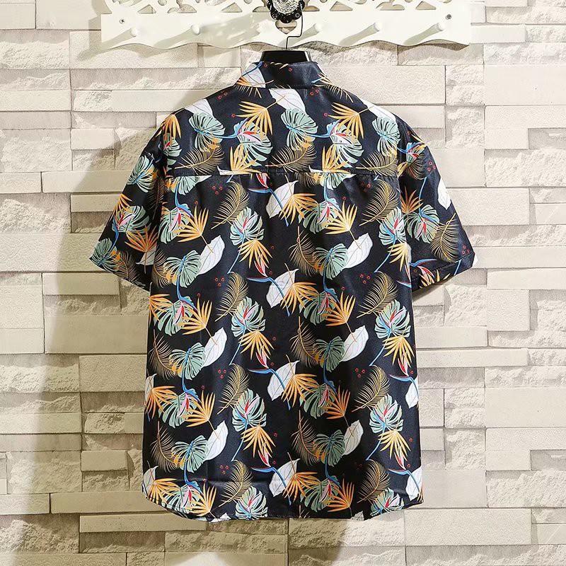 Set Đồ Mùa Hè Thời Trang Dành Cho Nam