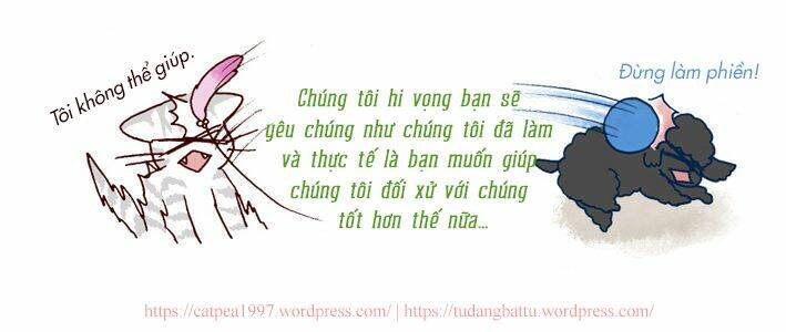 my young cat and my old dog chapter 9 3