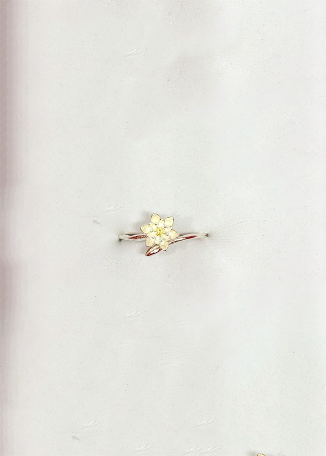 Nhẫn Nữ NG048