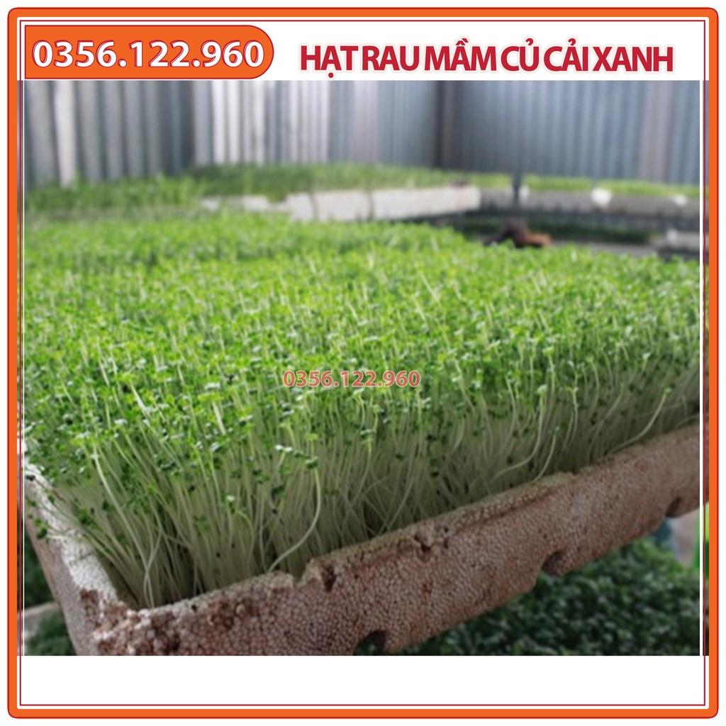 Hạt rau mầm rau Củ cải Trắng - gói 100g