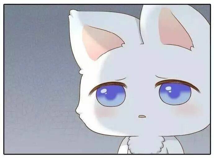 tiểu hồ ly vs tiểu hóa thượng chapter 57 9