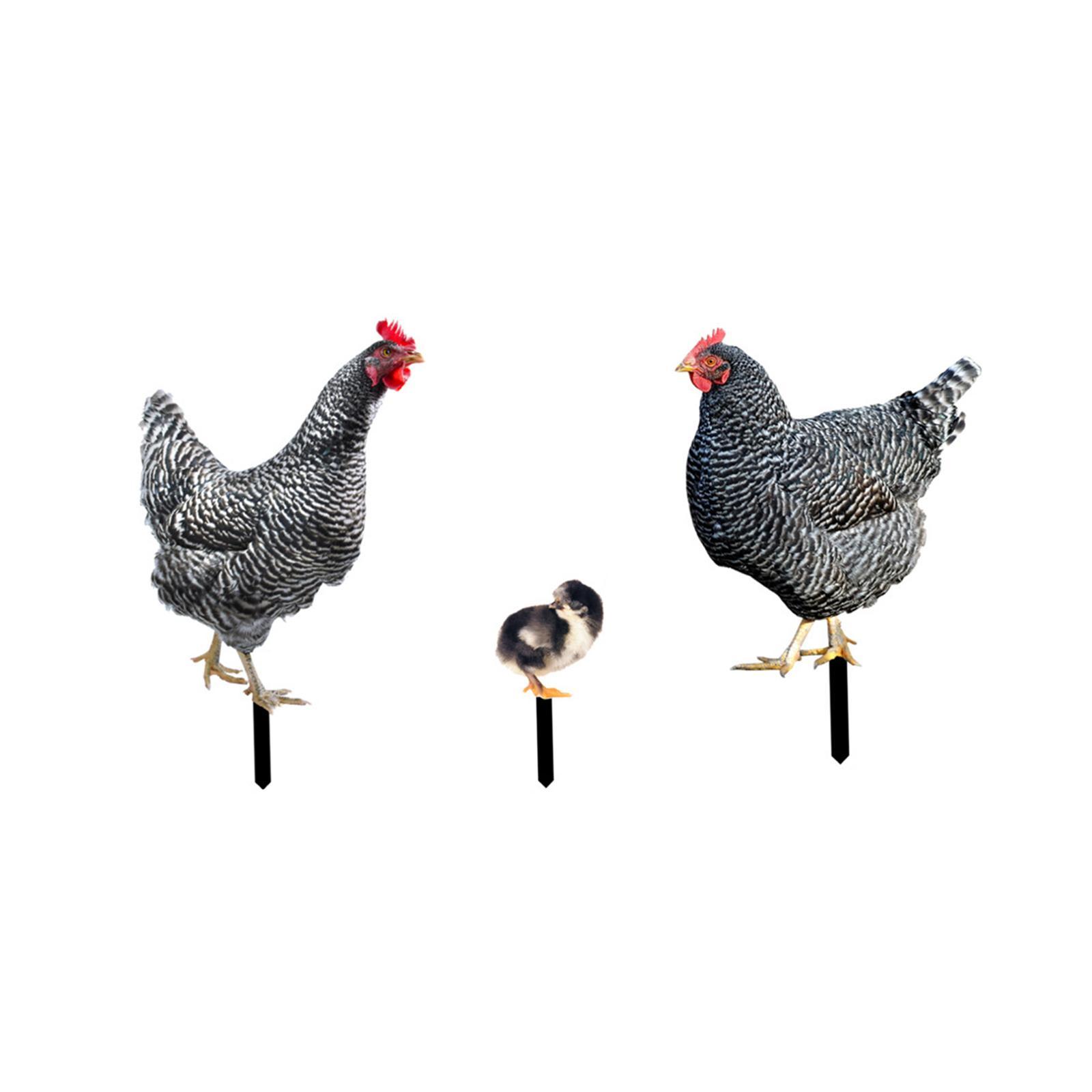 3 Pieces Chicken Animal Statue Animal Shaped Yard Stake for Pathway Decor