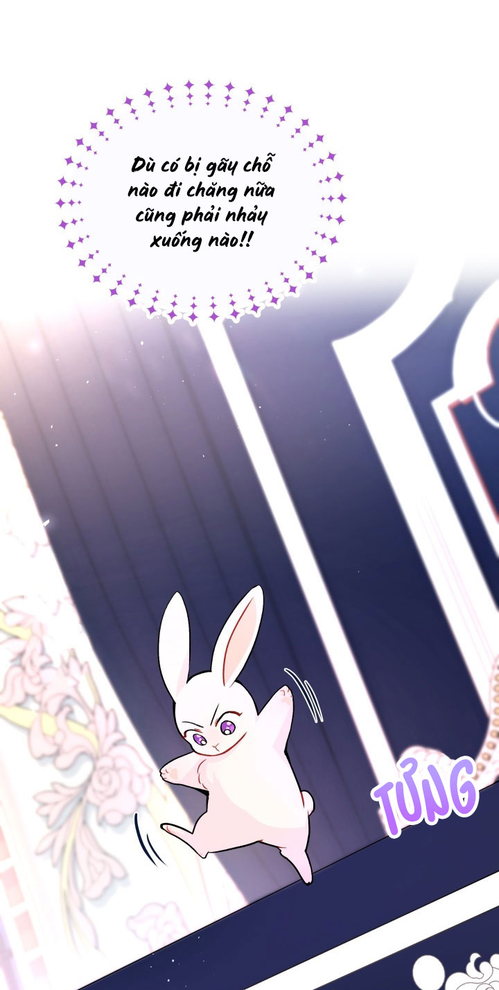 mối liên kết giữa báo đen và bé thỏ chapter 2 12