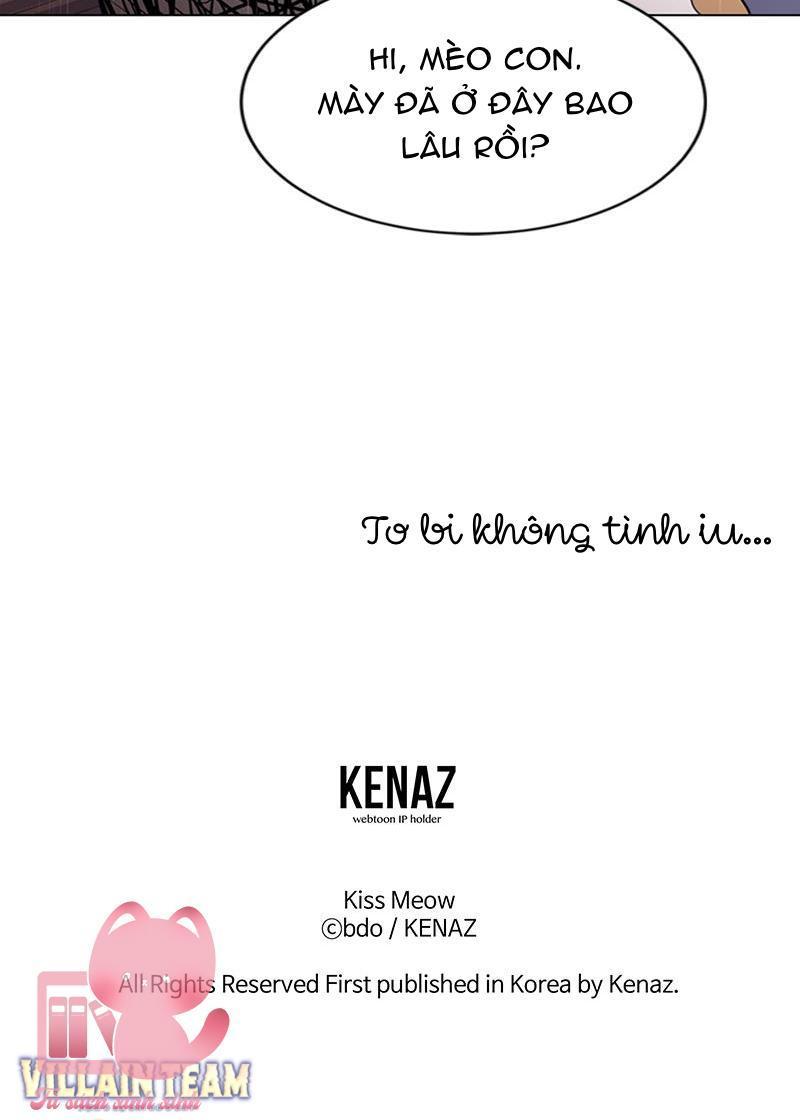 nụ hôn meo meo chapter 1 11