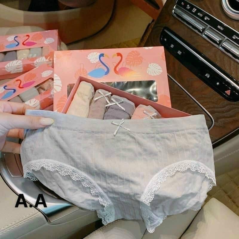 Hộp 5 quần lót cotton thiên nga hàng cao cấp