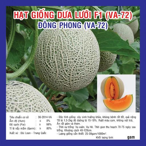 100 Hạt Dưa Lưới Xanh Ruột Vàng