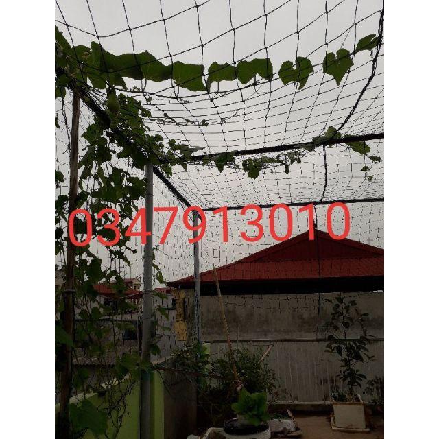 Lưới giàn cây leo rộng 3m dài 5m- Lưới dệt máy