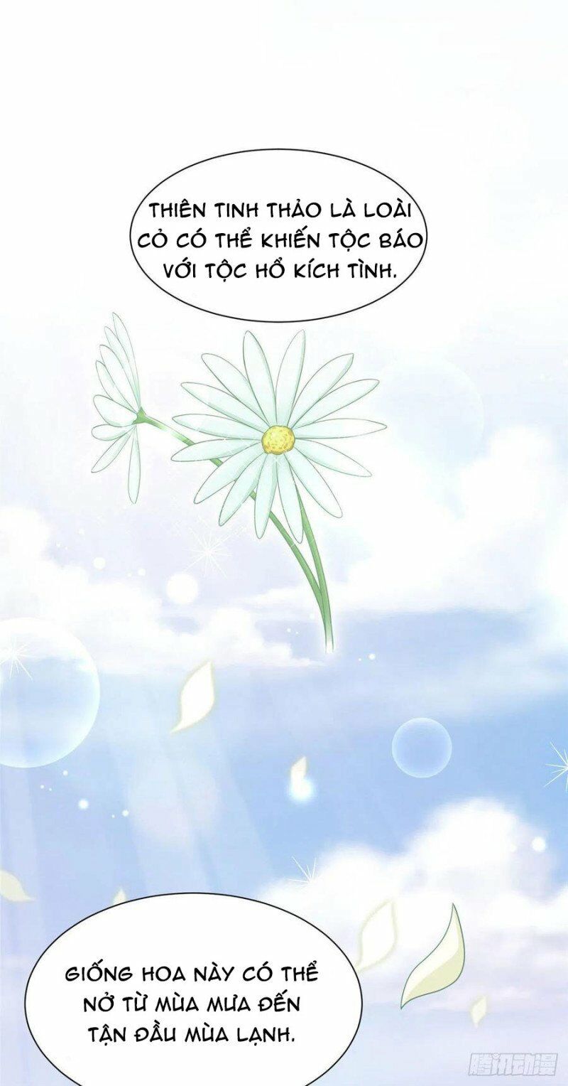 [16+] thảnh thơi thú thế chủng chủng điền, sinh sinh tể chapter 251 2