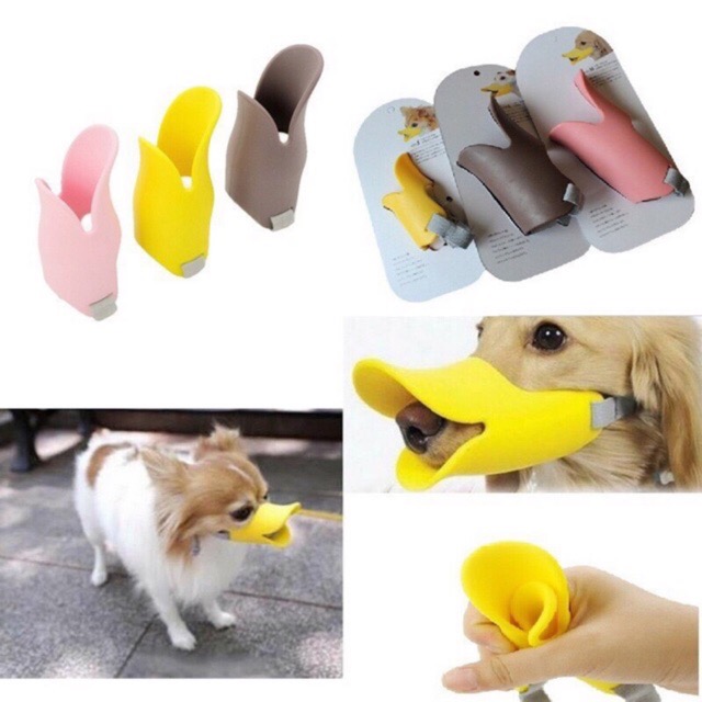 Rọ mõm mỏ vịt cho chó