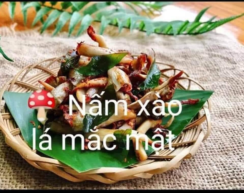 Combo 10 cây lá mắc mật